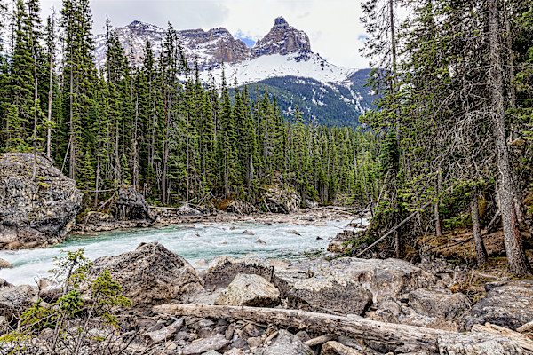 Bow River in Canadian Rockies, Banff National Park, Alberta Canada by David Whited