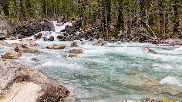 Bow River in the Canadian Rockies, Banff National Park, Alberta Canada by David Whited