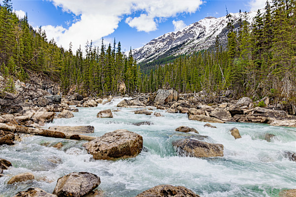 Bow River in the Canadian Rockies, Banff National Park, Alberta, Canada by David Whited