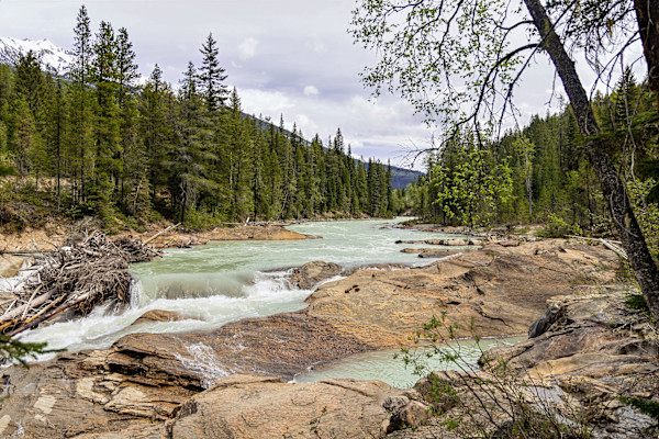 Bow River in the Canadian Rockies, Banff National Park, Alberta Canada by David Whited