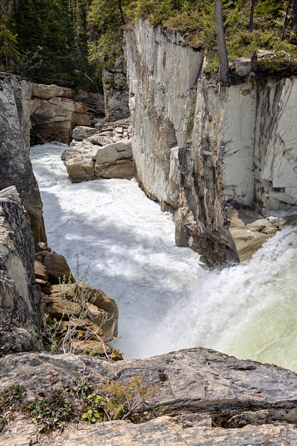 Bow River in the Canadian Rockies, Banff National Park, Alberta Canada by David Whited