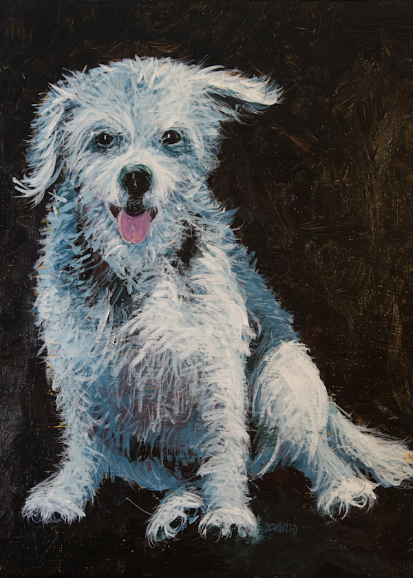 Poodle mixed breed by David Whited