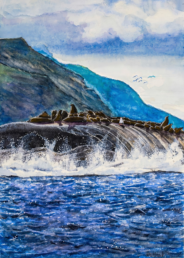 Fur Seal Island, West Coast of South Africa by David Whited