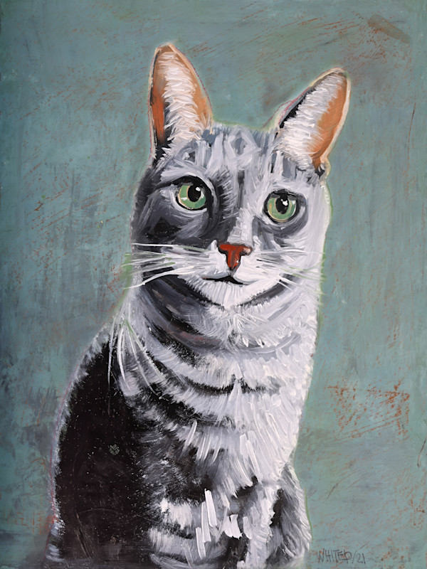 Gray tabby cat (Prints available) by David Whited