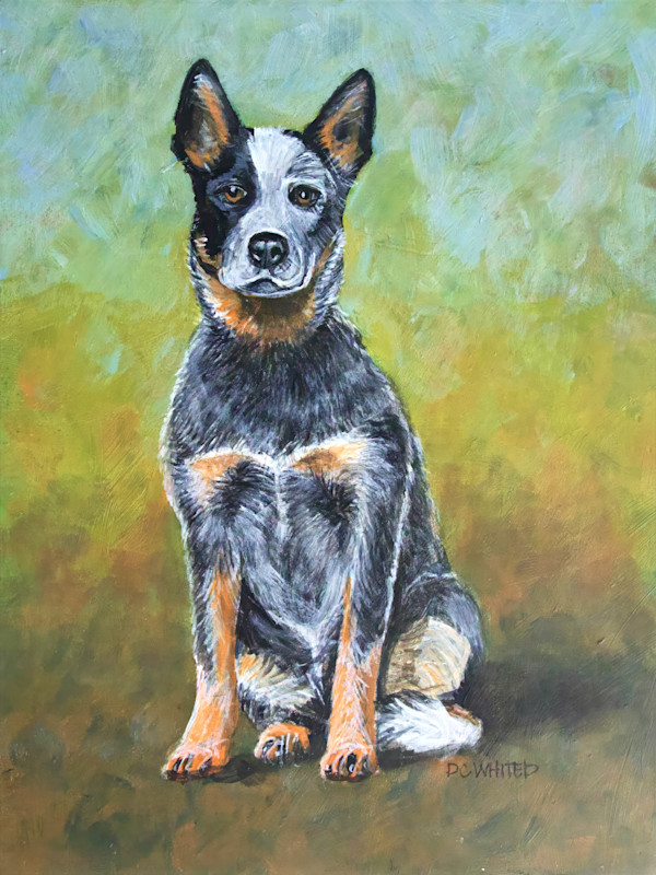 Australian Cattle Dog by David Whited