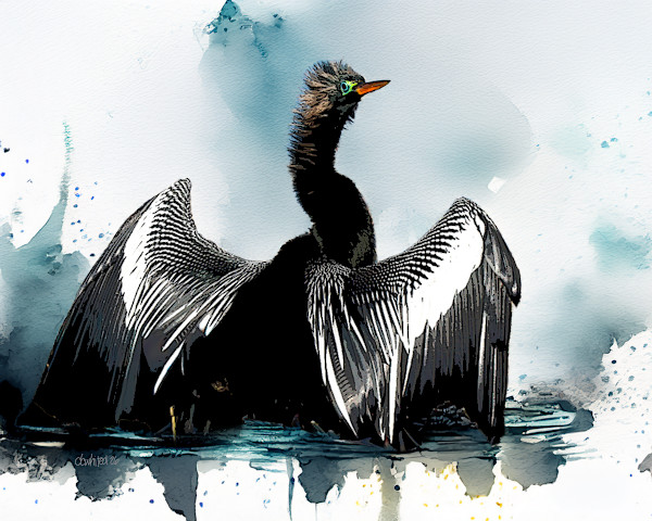 Anhinga Drying its Wings by David Whited, Image 1.