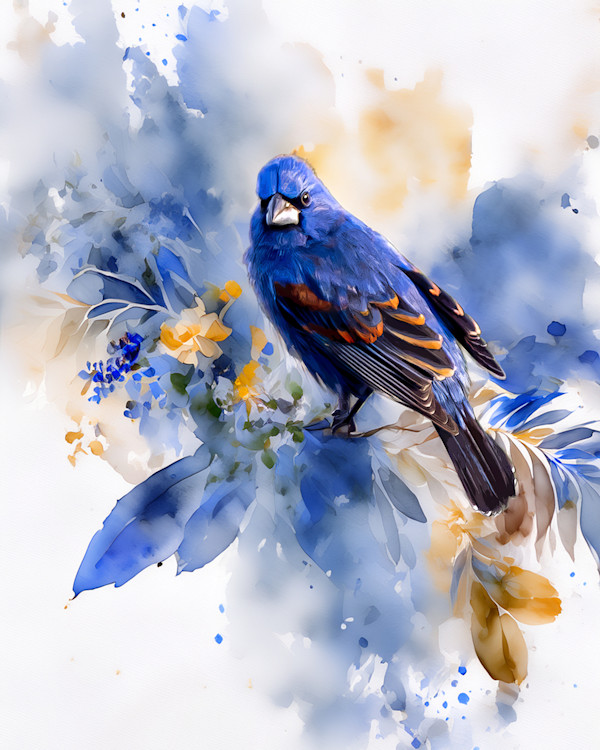 Blue Grosbeak by David Whited, Image 1.