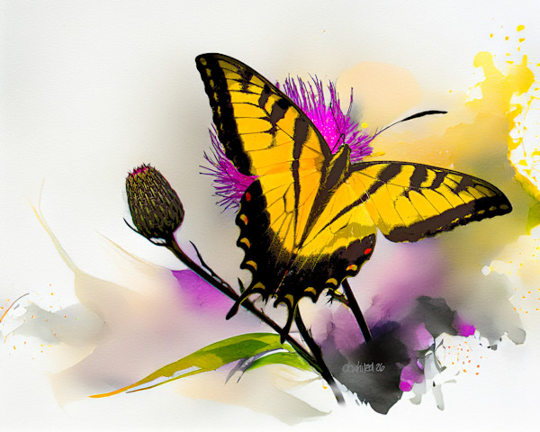 Eastern Tiger Swallowtail by David Whited, Image 1.