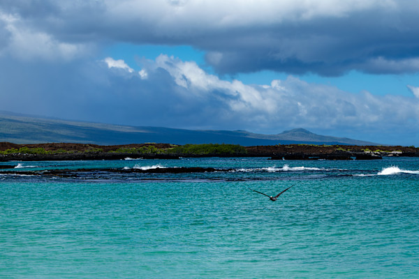 Espanola_Island_chvevl_3 by David Whited