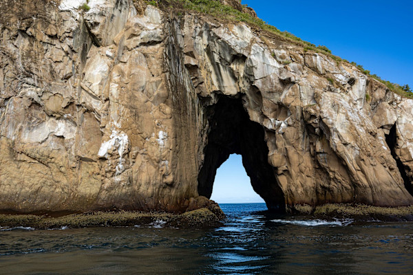 Gardner Island, Galapagos by David Whited