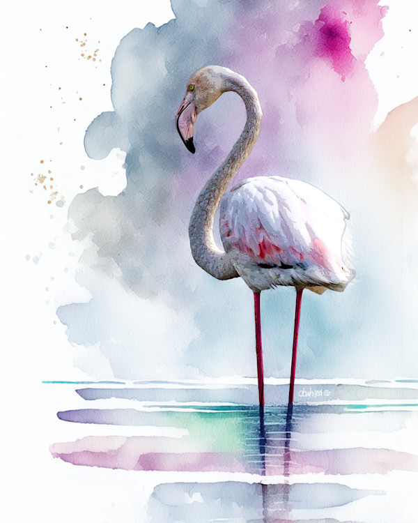 Greater Flamingo, South Africa by David Whited, Image 1.