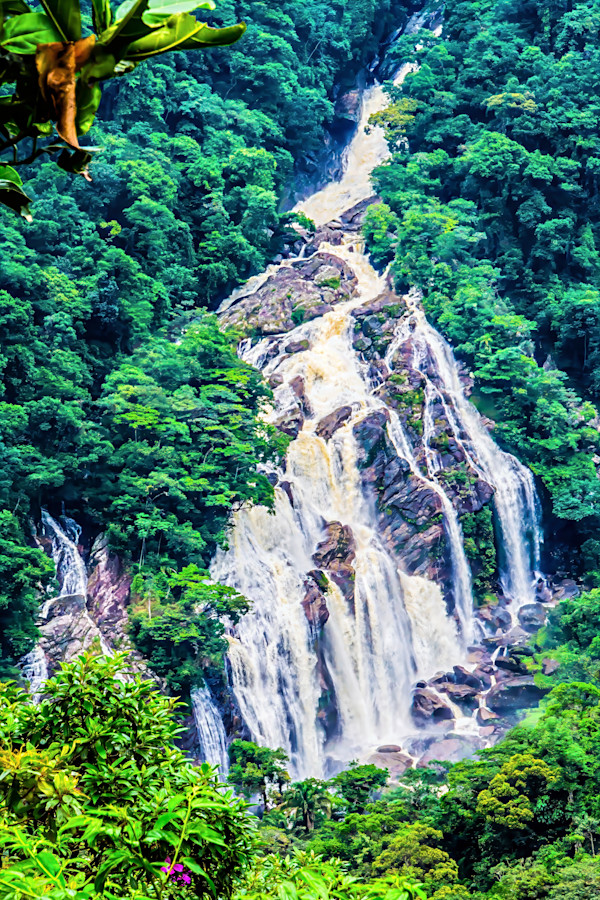 Elephant Waterfall (Cachoeira do Elefante), Serra do Mar State Park in São Paulo, Brazil. by David Whited