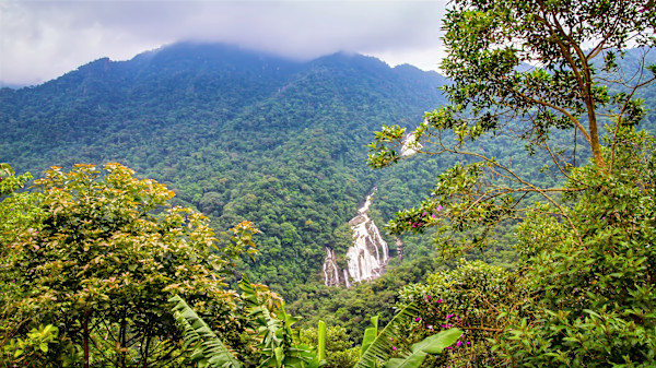 Serra do Mar State Park in São Paulo, Brazil. Elephant Waterfall (Cachoeira do Elefante) in the distance. by David Whited