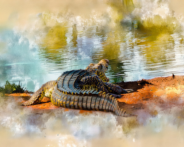 Nile Crocodile, South Africa by David Whited, Image 1.