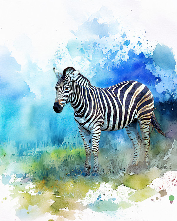 Plains Zebra, South Africa by David Whited, Image 1.