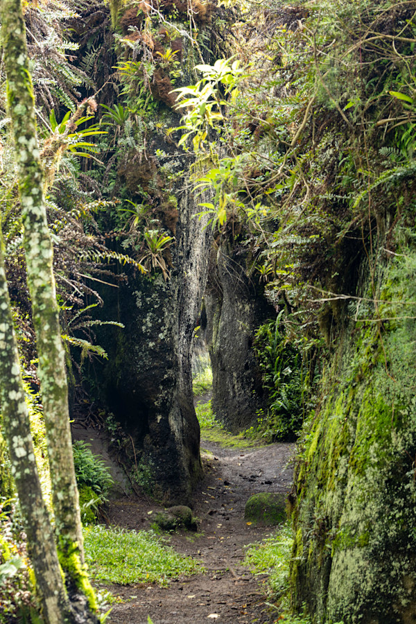 Floreana Island Rock Labyrinth, Galapagos by David Whited, Image 1.