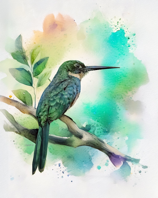 Rufous-tailed Jacamar, Costa Rica by David Whited, Image 1.