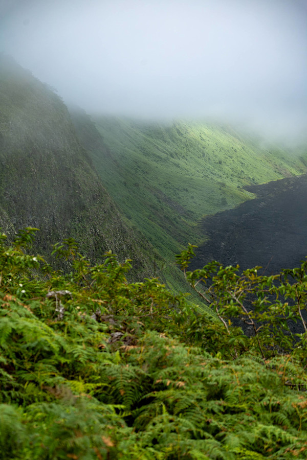Sierra Negra Volcano, Isabela Island, Galapagos by David Whited