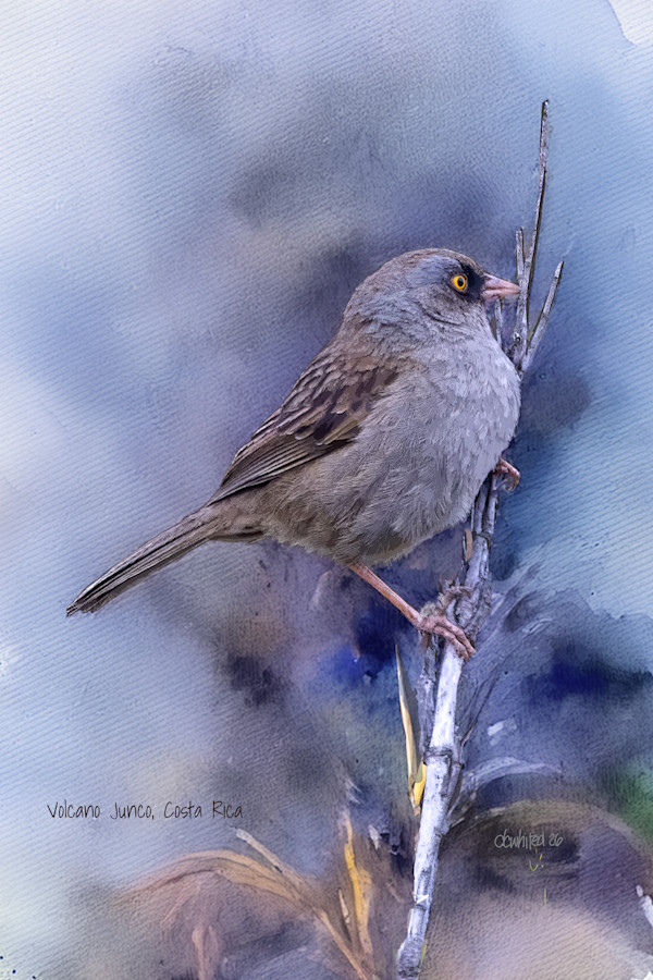 Volcano Junco, Costa Rica by David Whited