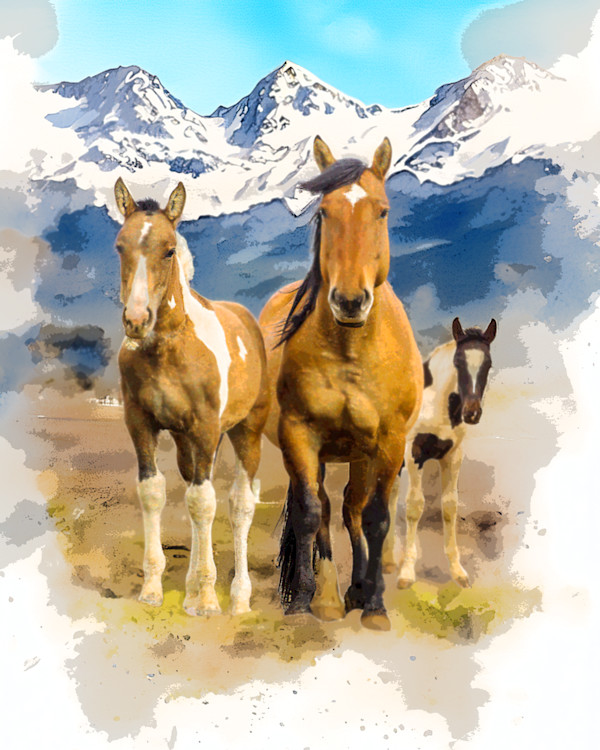 Wild Horses in Wyoming by David Whited, Image 1.