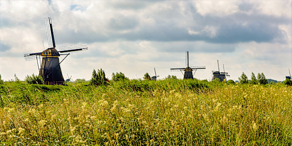Kinderdijk Windmills, Netherlands by David Whited