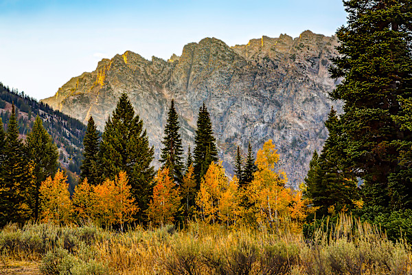 Grand Teton National Park, Fall Color by David Whited