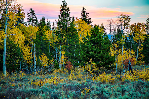 Autumn in Wyoming by David Whited, Image 1.