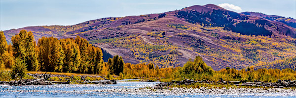 Snake River, Yellowstone National Park, Wyoming, Wyoming, USA by David Whited