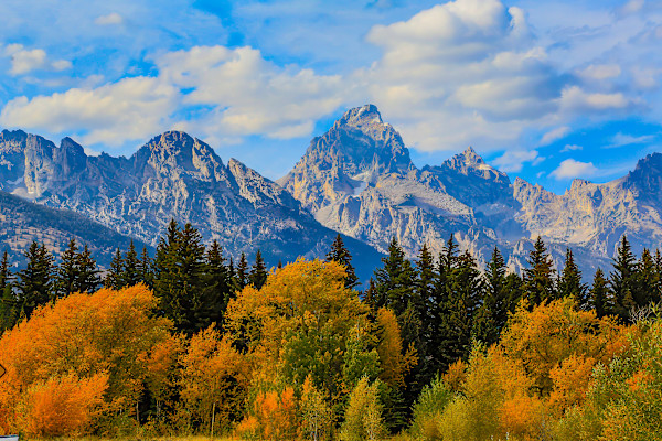 Grand Teton National Park, Wyoming in Autumn by David Whited, Image 1.