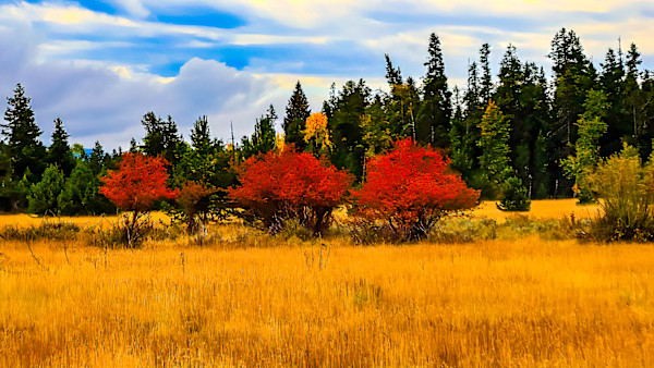 Snake River Valley, Wyoming, in the Autumn by David Whited, Image 1.
