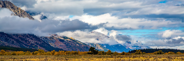 Autumn in Grand Teton National Park by David Whited