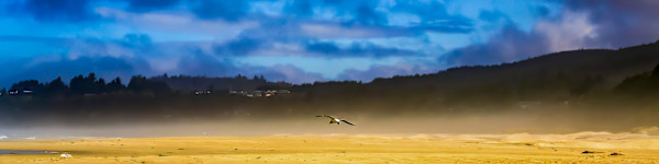 Dusk on the Oregon Coast by David Whited