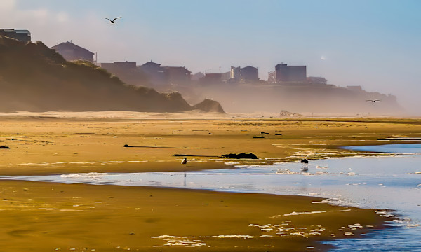 Walk on the Oregon beach, Pacific Coast, Oregon, USA by David Whited