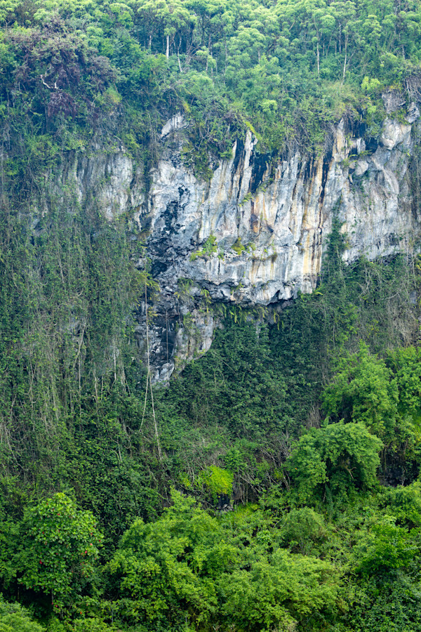 Volcanic crater, Santa Cruz Island, Galapagos by David Whited, Image 1.