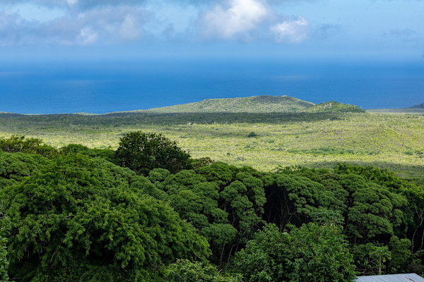 Floreana Island, Galapagos by David Whited