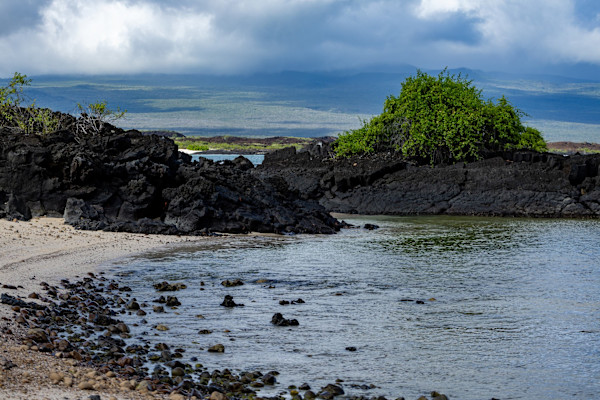 Espanola Island, Galapagos by David Whited