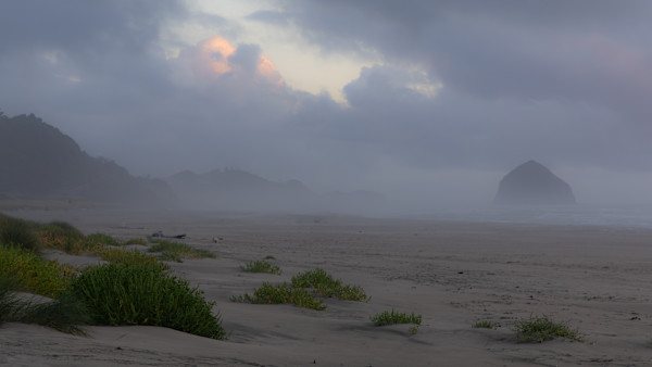 Hazy morning on the Oregon Coast by David Whited