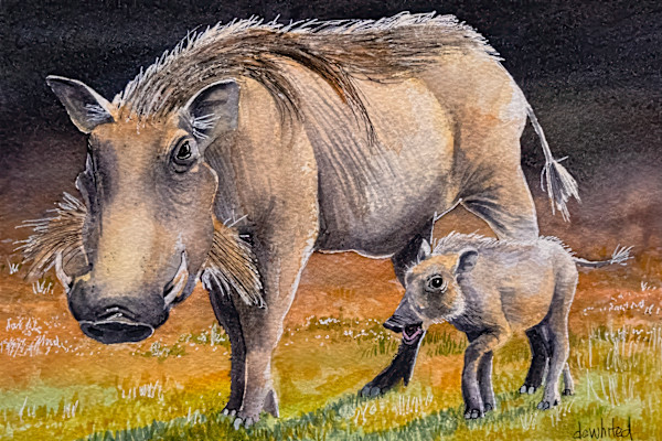 African Warthog and young by David Whited