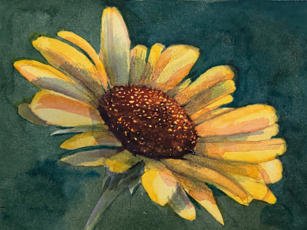 Black-eyed Susan, green background by David Whited
