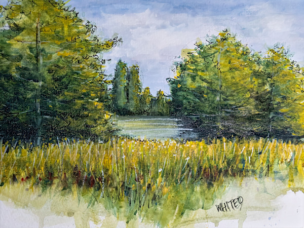 Springfield Bog Park, Ohio by David Whited