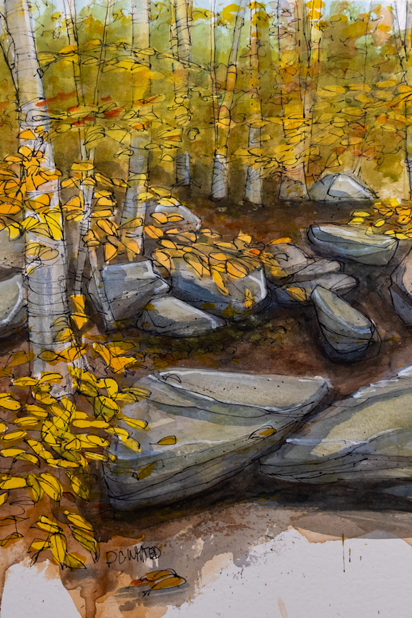 Ledges Trail in the Cuyahoga Valley National Park by David Whited