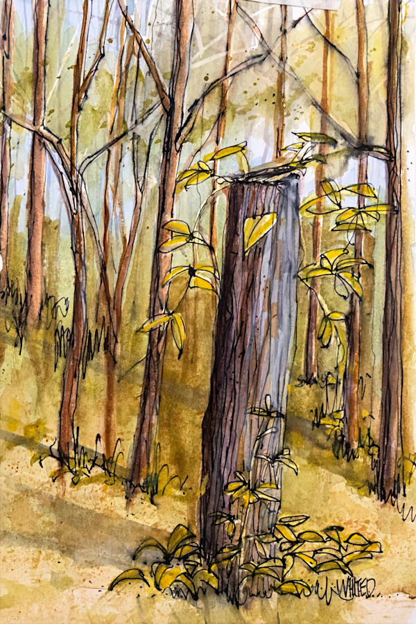 Ancient Fence Post by David Whited