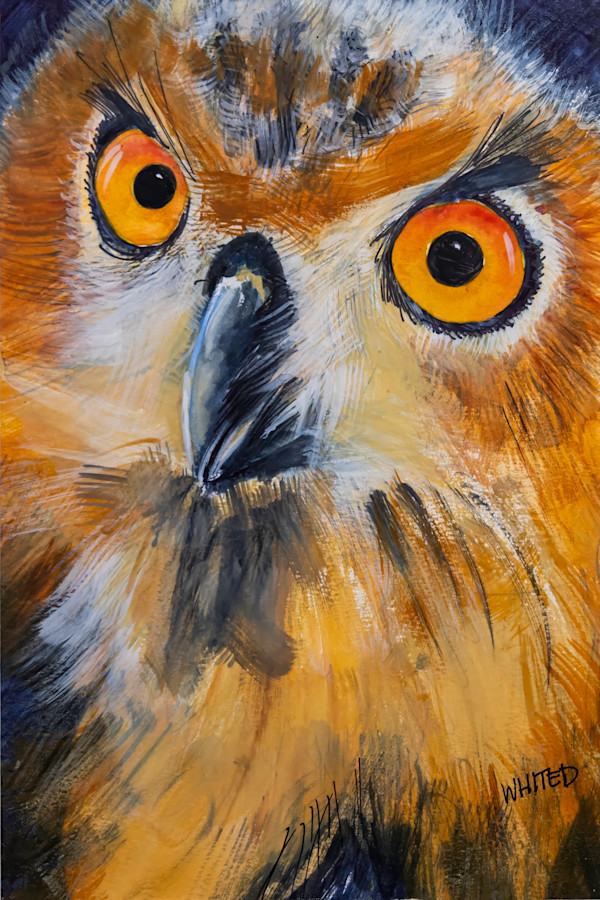 Eurasian eagle-owl by David Whited