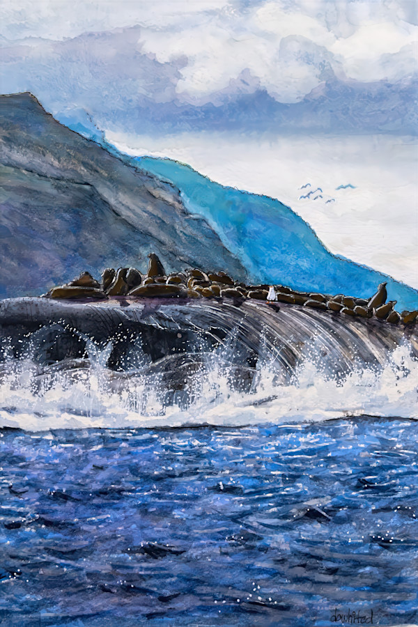 Fur Seal Island, West Coast of South Africa by David Whited