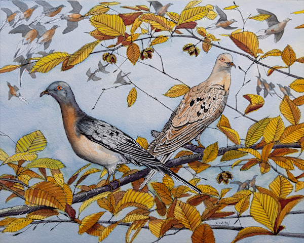Passenger Pigeons (Prints available) by David Whited