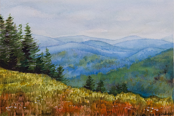 Blue Ridge Mountains by David Whited