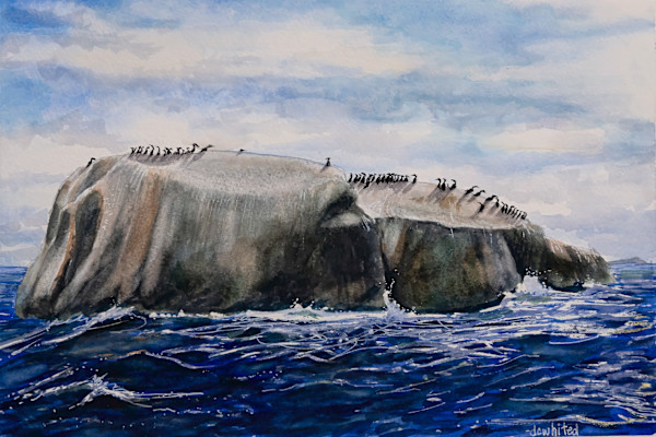 Cormorant Island, West Coast of South Africa by David Whited