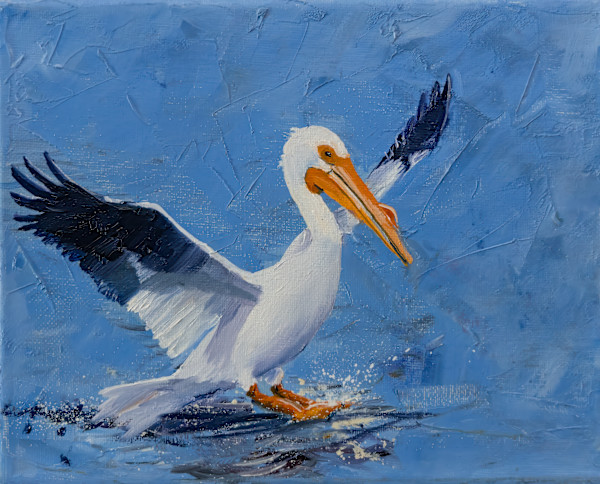 White Pelican Landing by David Whited