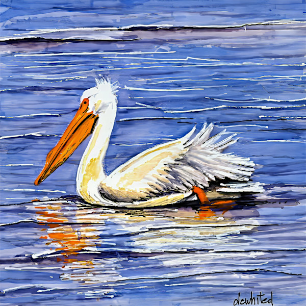 American White Pelican (SOLD, prints available) by David Whited