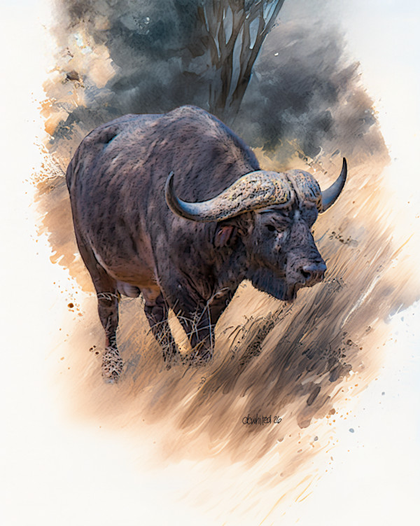 African Cape Buffalo by David Whited, Image 1.